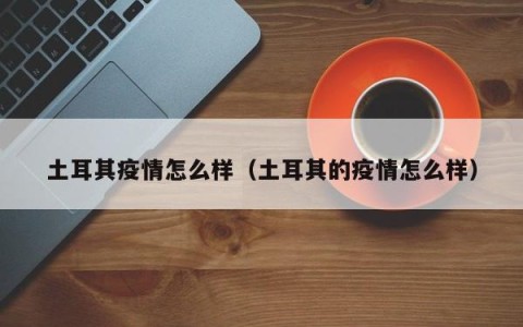 土耳其疫情怎么样（土耳其的疫情怎么样）